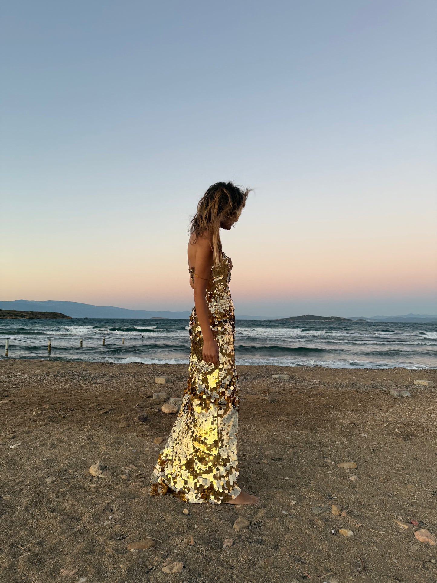 Starlit Soirée Gown