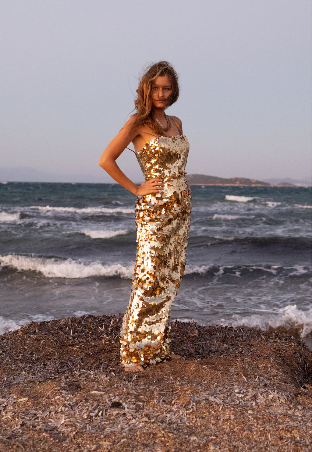 Starlit Soirée Gown