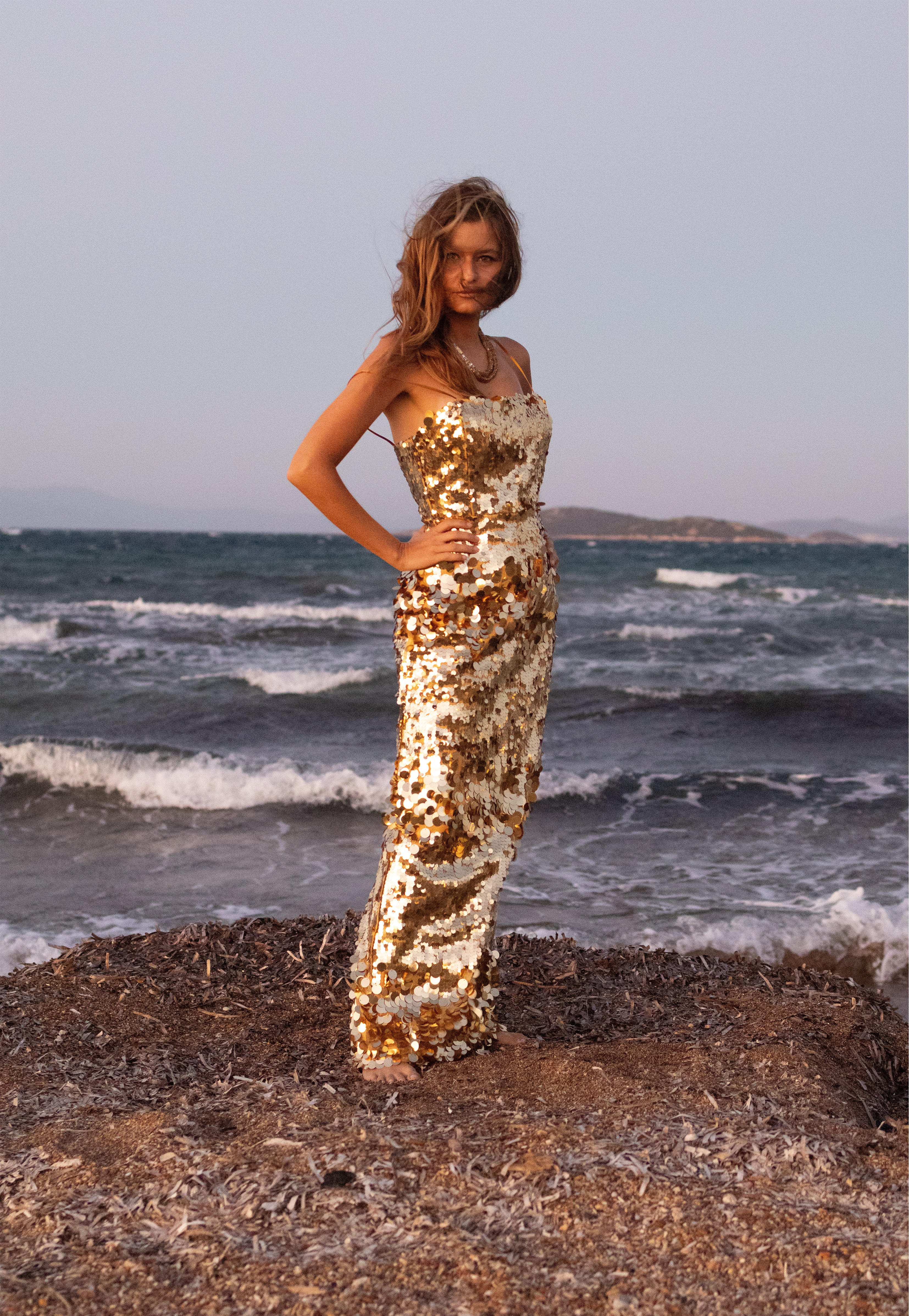 Starlit Soirée Gown