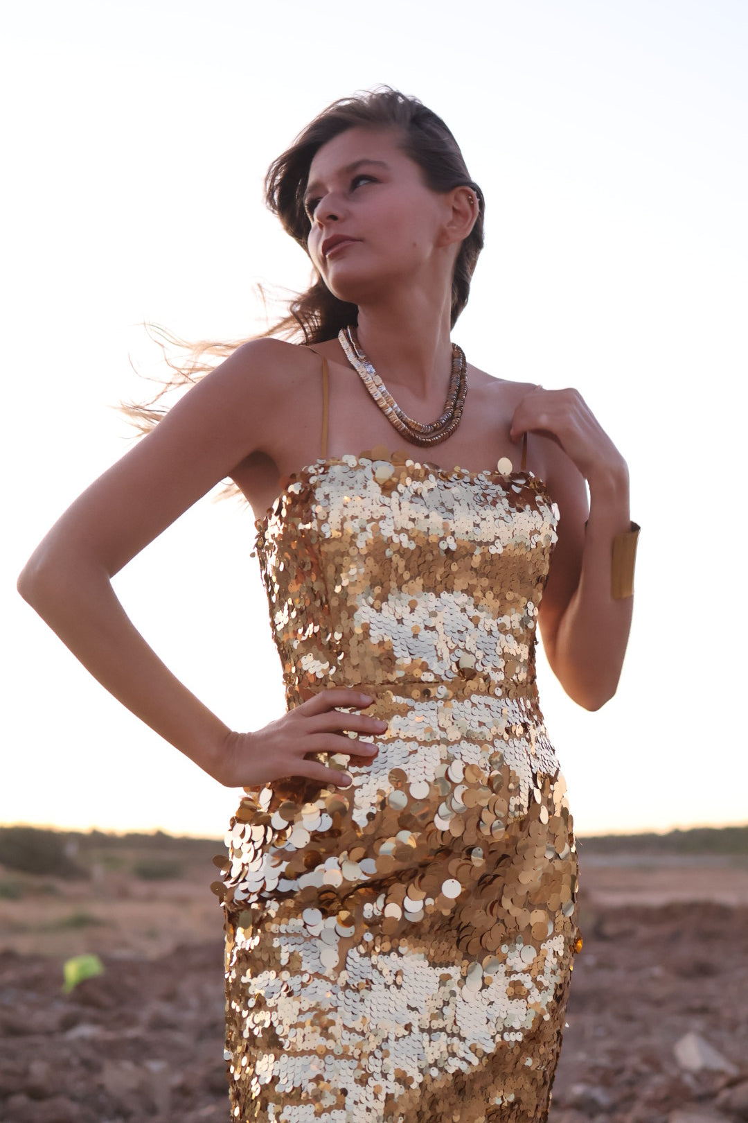 Starlit Soirée Gown